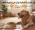 هل الحرارة العالية تؤثر على شهية الكلاب؟